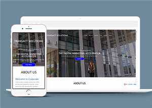 项目产品解决方案HTML网页模板下载-项目资源网