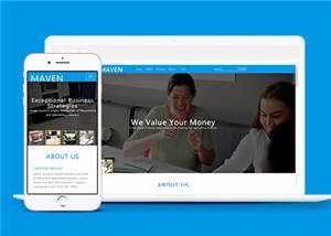 专业咨询服务展示HTML网页模板下载-项目资源网