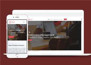股票金融分析团队HTML网页模板下载-项目资源网