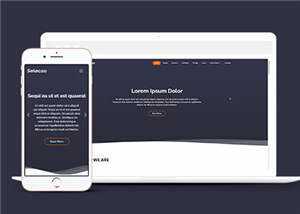 简约业务团队动态响应式网页模板-项目资源网