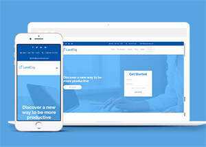 浅蓝色VIP软件单页面模板下载-项目资源网
