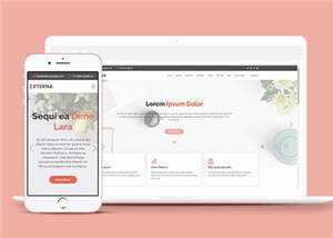 简约营销业务展示响应式网页模板-项目资源网