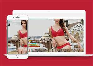 宽屏内衣服饰服装类网站前端模板-项目资源网