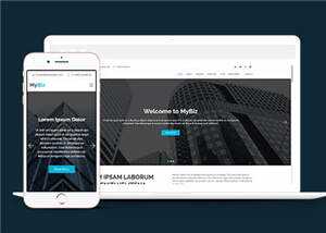 商务代理项目服务响应式网页模板-项目资源网