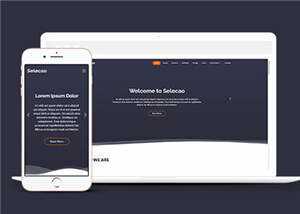 简约业务团队动态响应式网页模板下载-项目资源网