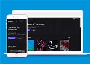 宽屏数字市场交易平台网站模板下载-项目资源网