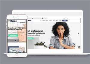 公司财务咨询网站模板下载-项目资源网