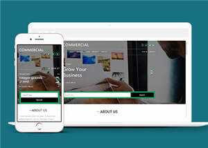 简洁商业贸易服务展示HTML网页模板下载-项目资源网