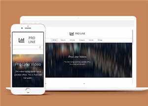 简洁专业服务信息在线响应式网页模板下载-项目资源网