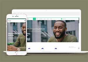 成人高等学校招生网站模板源码-项目资源网