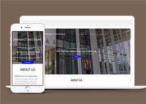 简约公司项目解决方案HTML网页模板下载-项目资源网