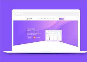 简约软件开发企业网站模板下载-项目资源网