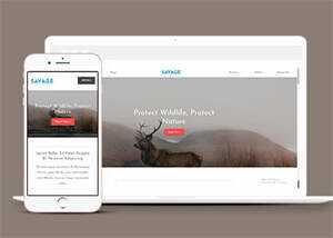 保护野生动物响应式网站模板下载-项目资源网