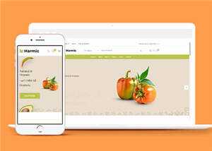简洁蔬菜水果超市电商网站模板源码下载-项目资源网