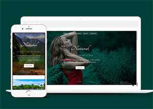 宽屏旅游温泉响应式网站模板-项目资源网