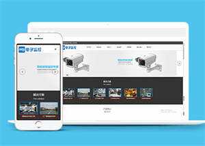 响应式数字防盗类网站前端模板-项目资源网