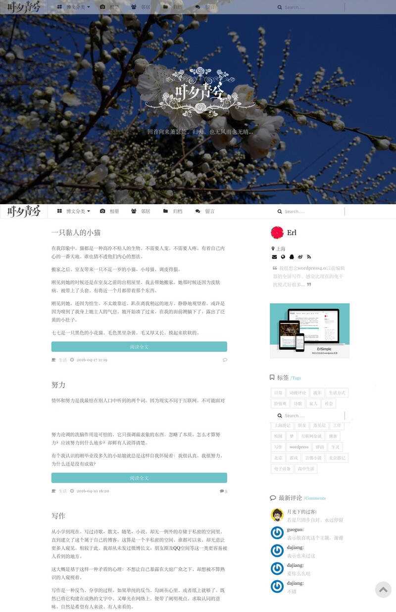 wordpress极简优秀的博客主题–ErlSimpleV1.5主题-项目资源网