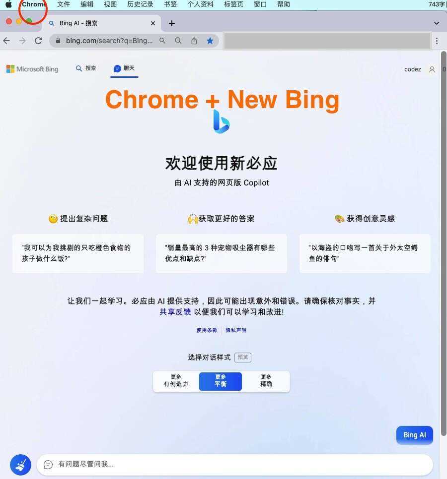 微软New Bing完美聊天机器人源码，支持ChatGPT提示词 国内可用，基本兼容微软 Bing AI 所有功能-项目资源网