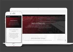 响应式前端框架skin网站模板-项目资源网