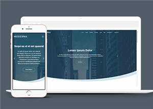 企业业务案例展示响应式网页模板下载-项目资源网