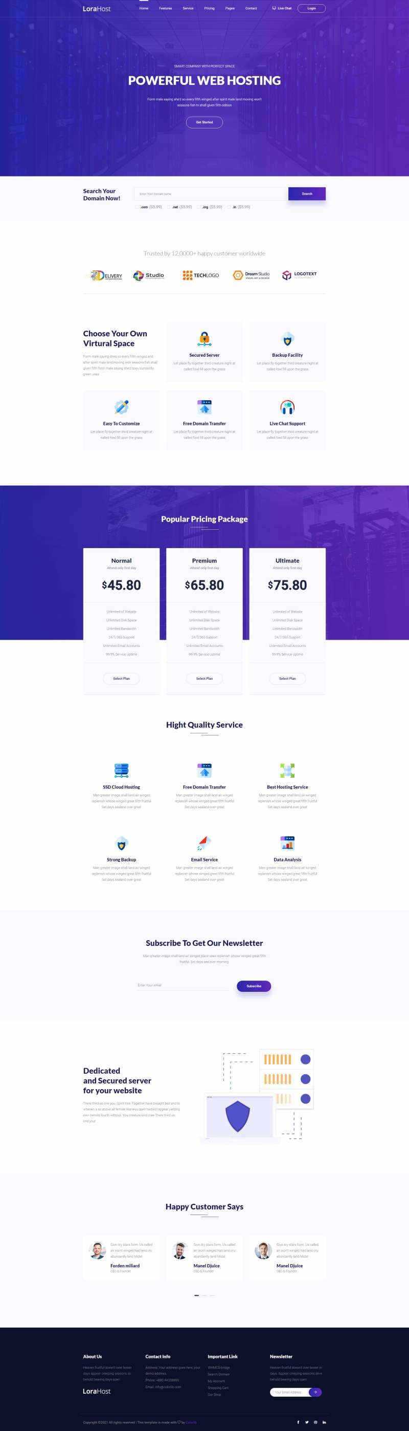 紫色的虚拟主机域名托管服务网站html模板-项目资源网