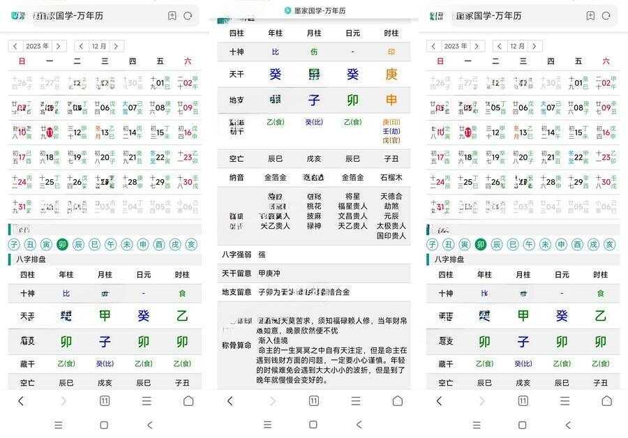 九龙道长同款万年历源码-项目资源网