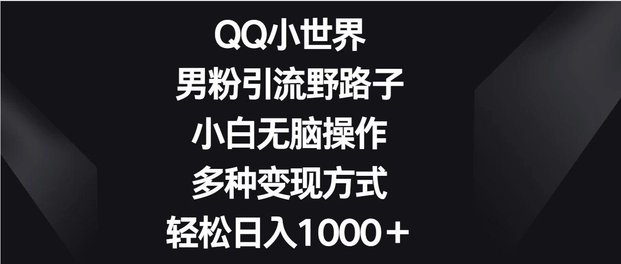 QQ小世界男粉引流野路子,小白无脑操作,多种变现方式轻松日入1000+-项目资源网