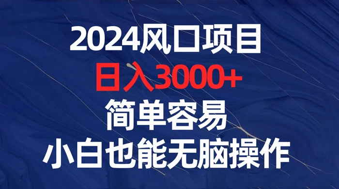 2024 风口项目，日入 3000+，简单容易，小白也能无脑操作-项目资源网