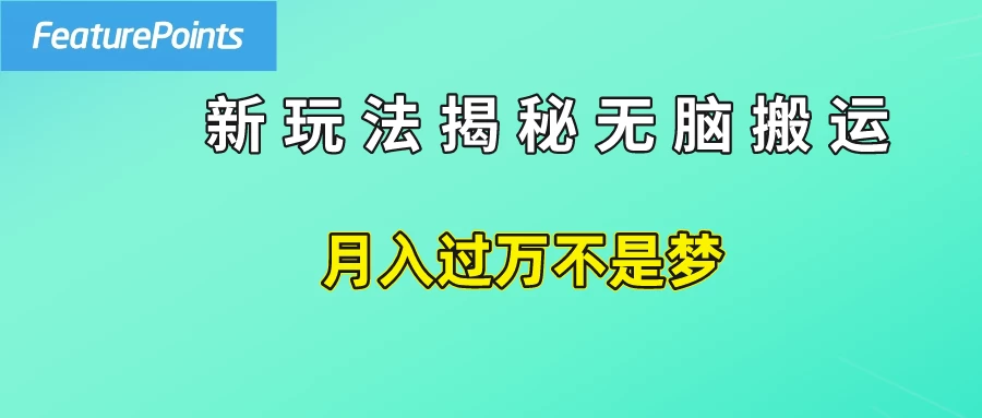 简单操作,每天50美元收入,搬运就是赚钱的秘诀!-项目资源网