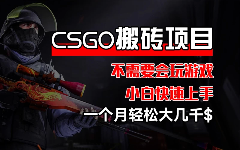 CSGO 装备搬砖项目，操作简单，不需要会玩游戏，小白也能快速上手，一个月轻松大几千-项目资源网