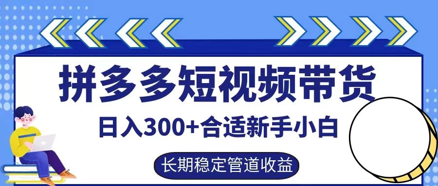 拼多多短视频带货日入300+保姆级实操账户展示-项目资源网