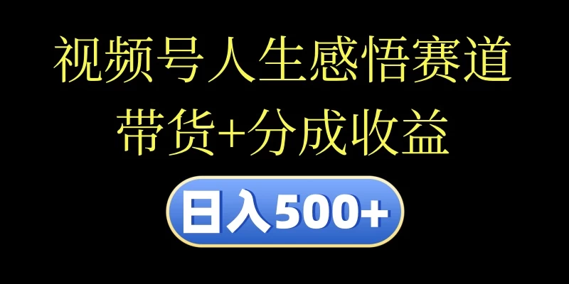 视频号人生感悟赛道,带货+分成收益,日入500+,10分钟做一个视频-项目资源网