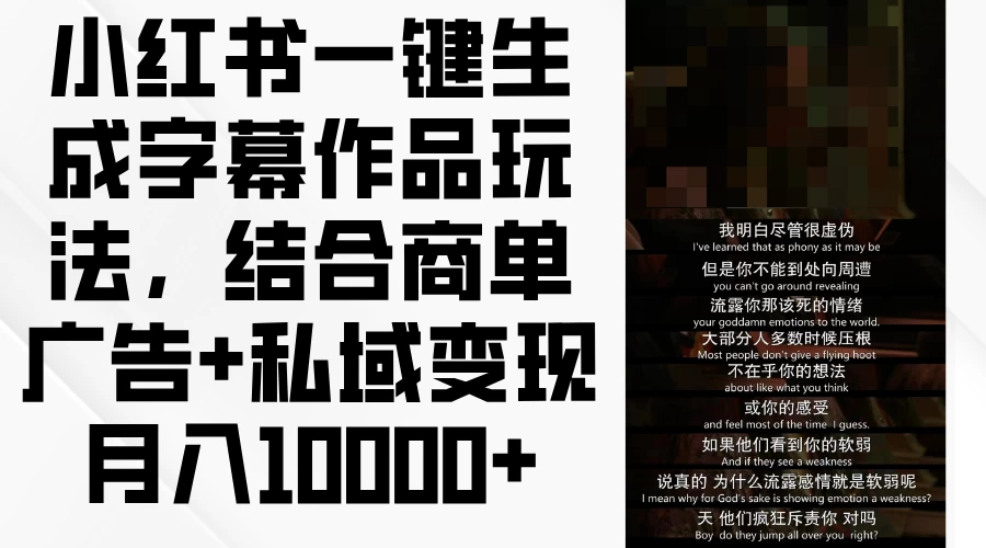 小红书一键生成字幕作品玩法，结合商单广告+私域变现月入10000+-项目资源网