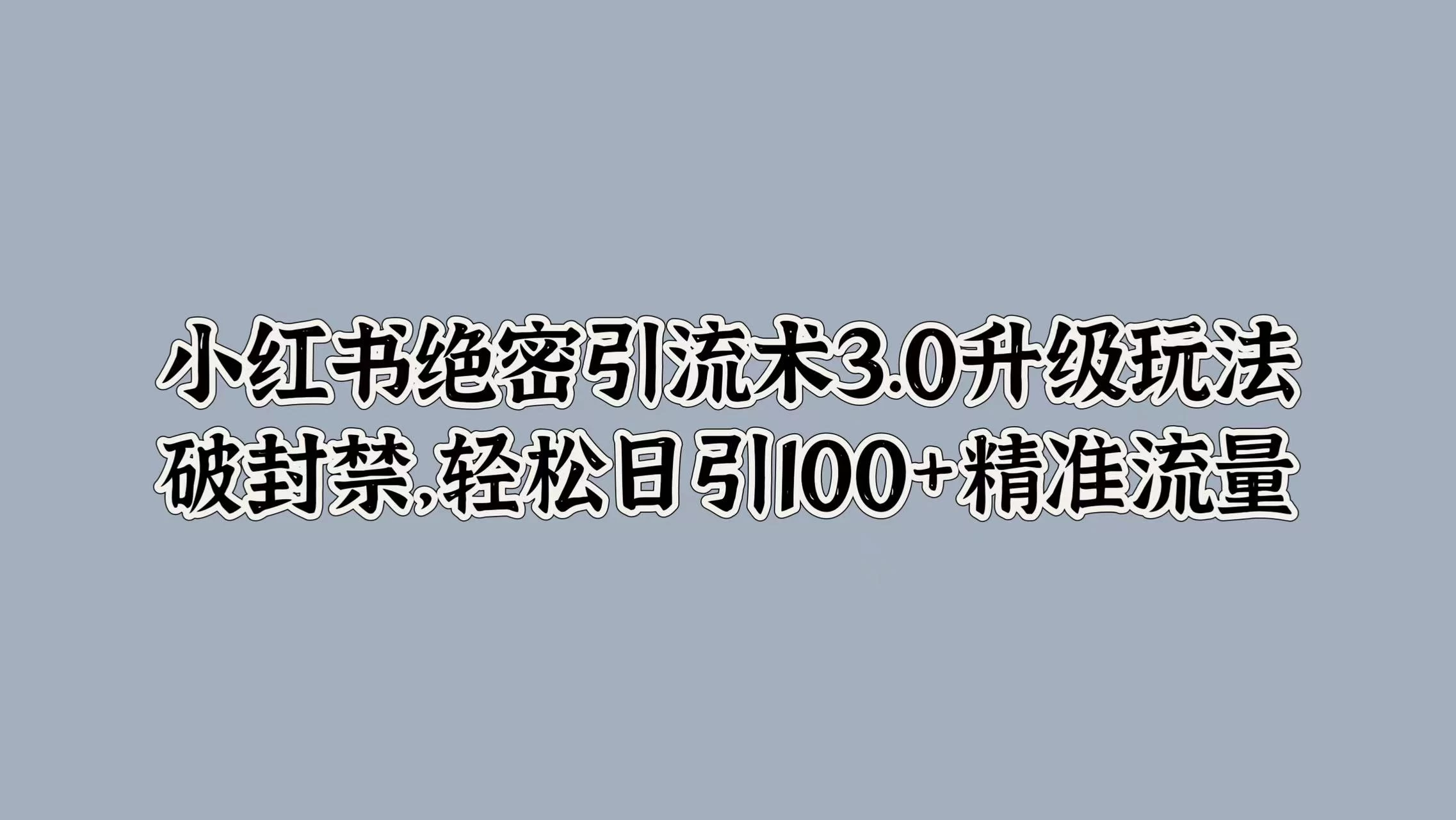 小红书绝密引流术3.0升级玩法，破封禁，轻松日引100+精准流量-项目资源网