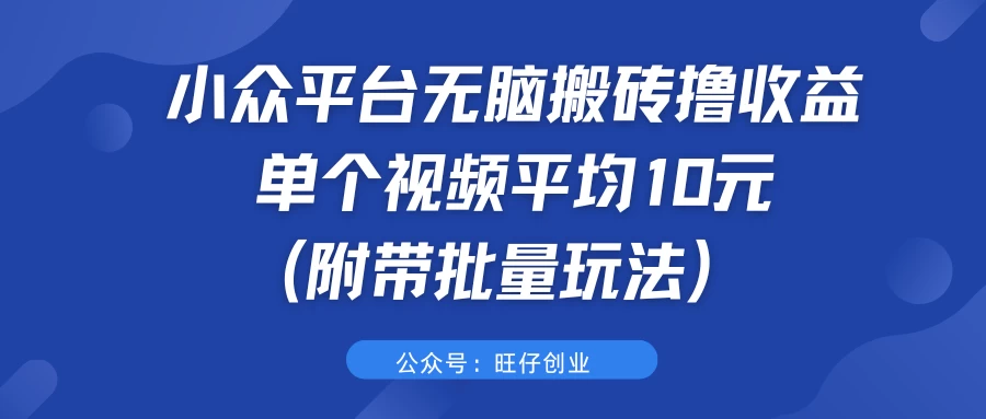 小众平台无脑搬砖撸收益，单个视频平均10元 (附带批量玩法）-项目资源网