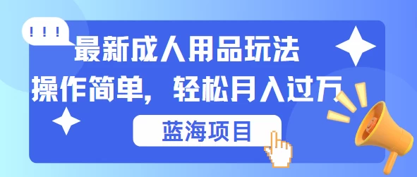 最新成人用品项目玩法，操作简单，蓝海项目轻松月入过万-项目资源网