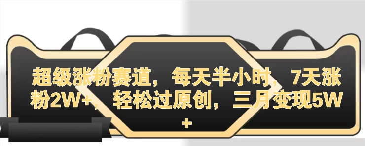 超级涨粉赛道，每天半小时，7天涨粉2W+，轻松过原创，三月变现5W+-项目资源网