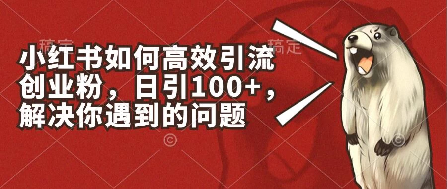 小红书如何高效引流创业粉，日引100+，解决你遇到的问题-项目资源网