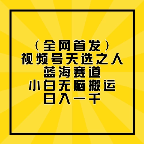 全网首发，视频号天选之人蓝海赛道，小白无脑搬运日入一千-项目资源网
