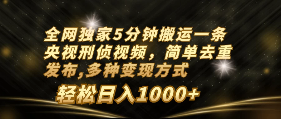 全网独家5分钟搬运一条央视刑侦视频,简单去重发布,多种变现方式,轻松日入1000+-项目资源网