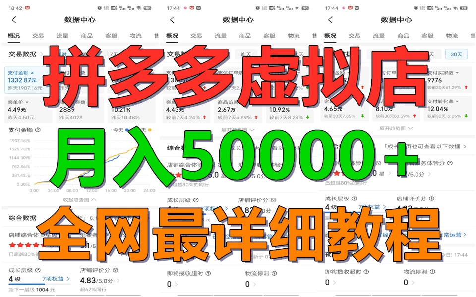 拼多多虚拟电商月入50000+你干你也行,暴利稳定长久,副业首选-项目资源网