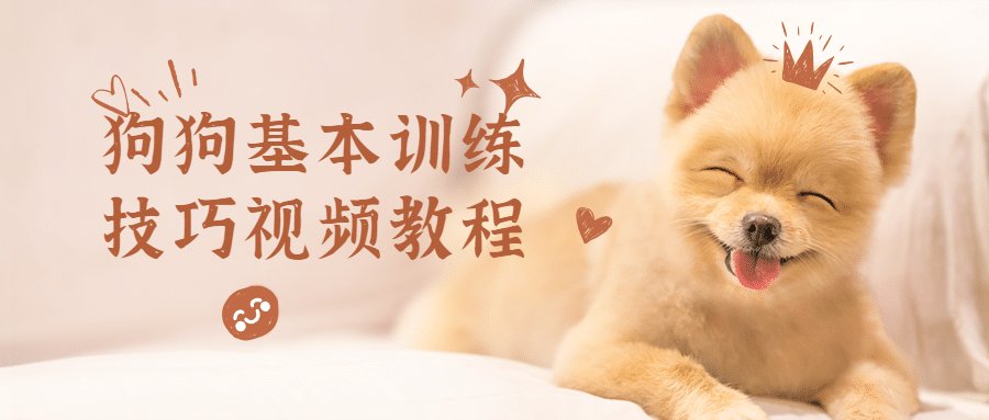 狗狗基本训练技巧视频教程-项目资源网
