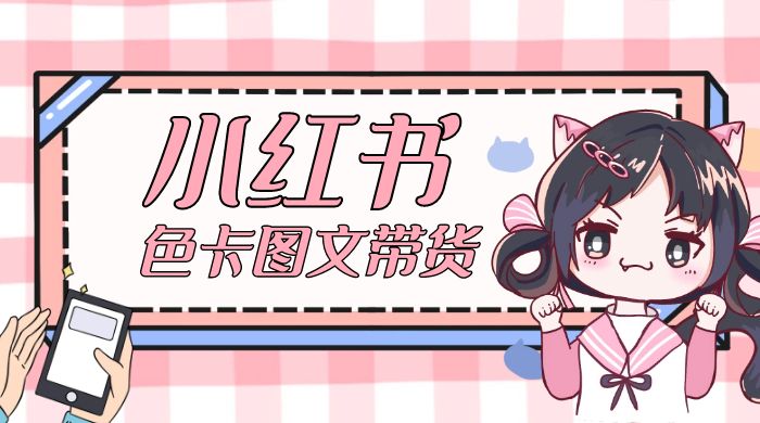 小红书色卡图文带货流量引爆单人月入 20W+-项目资源网