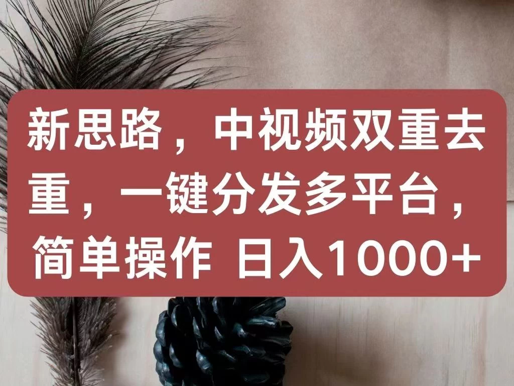 新思路，中视频双重去重，一键分发多平台，简单操作，日入1000+！快来试试吧！-项目资源网
