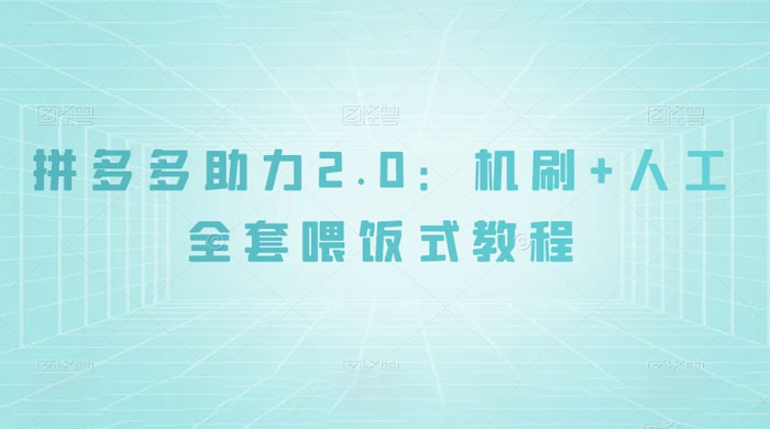 拼夕夕助力 2.0 新玩法：机刷+人工全套交付，喂饭式教程-项目资源网