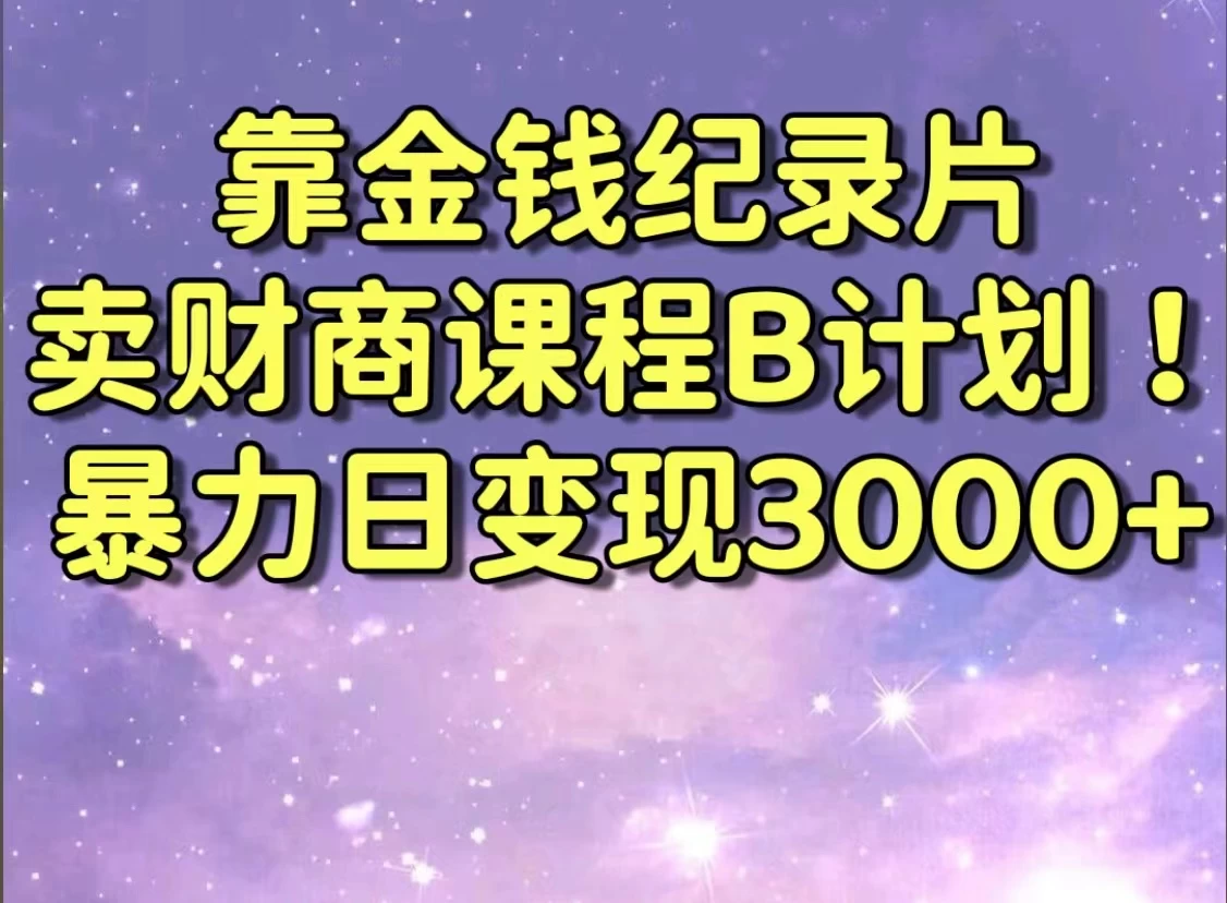 靠金钱纪录片卖财商课程，暴力日变现3000+，喂饭级干货教学！！-项目资源网