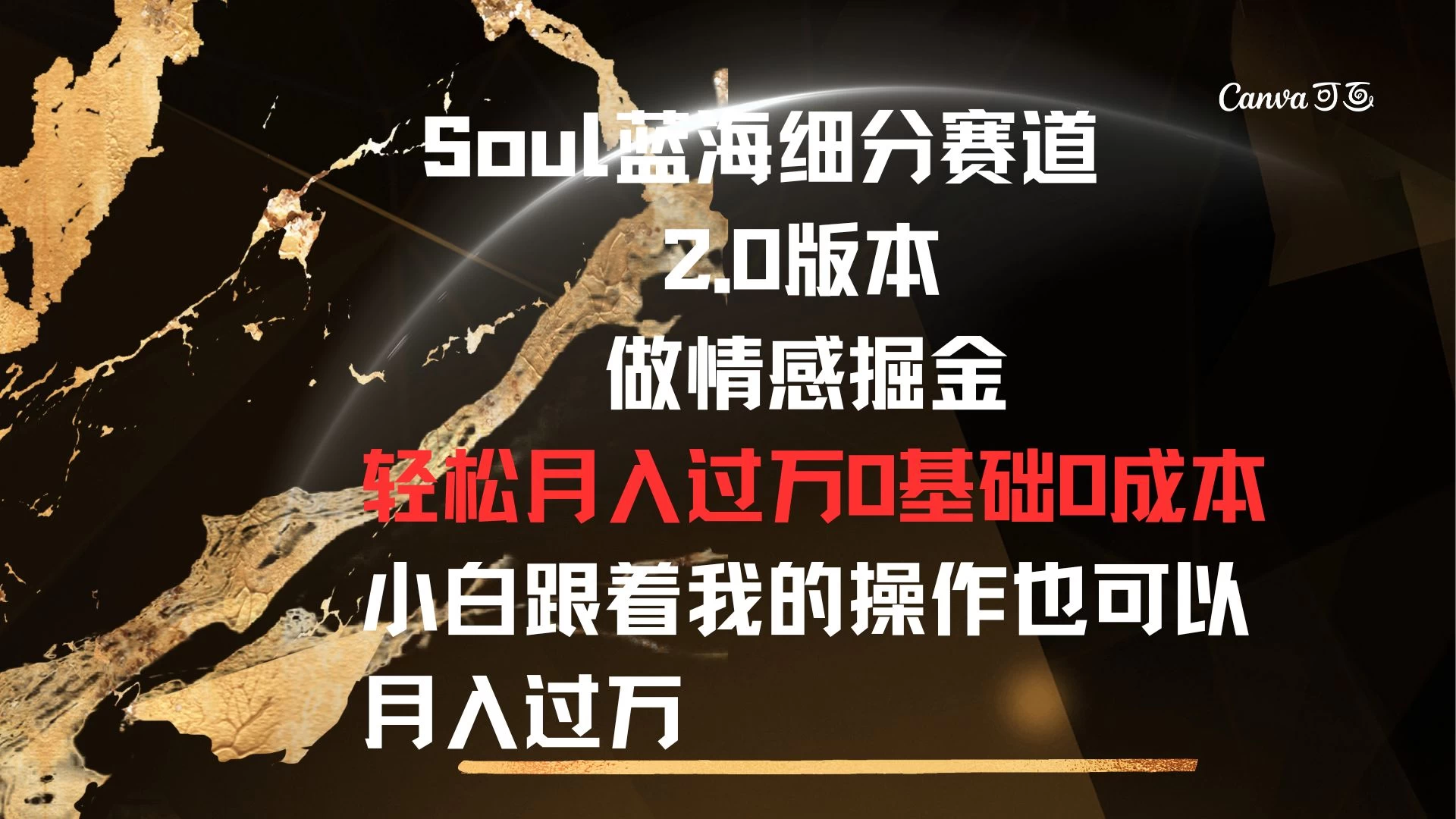 Soul蓝海细分赛道，2.0版本，做情感掘金，轻松月入过万，0基础，0成本，小白跟着我的操作也可以月入过万-项目资源网