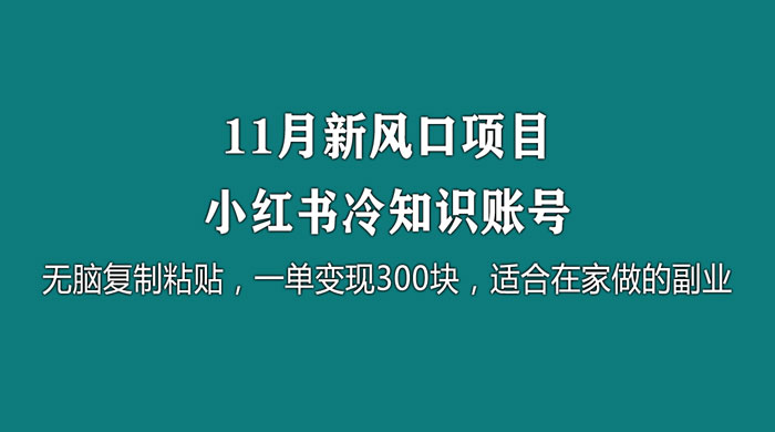 11 月新风口项目，小红书冷知识账号，无脑复制粘贴，一单变现 300 块，适合在家做的副业-项目资源网