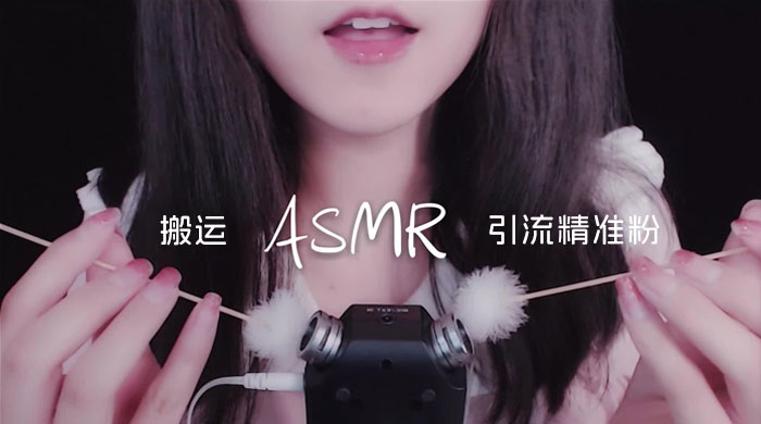 靠搬运 ASMR 视频，引流精准粉，私域单日变现 500+-项目资源网