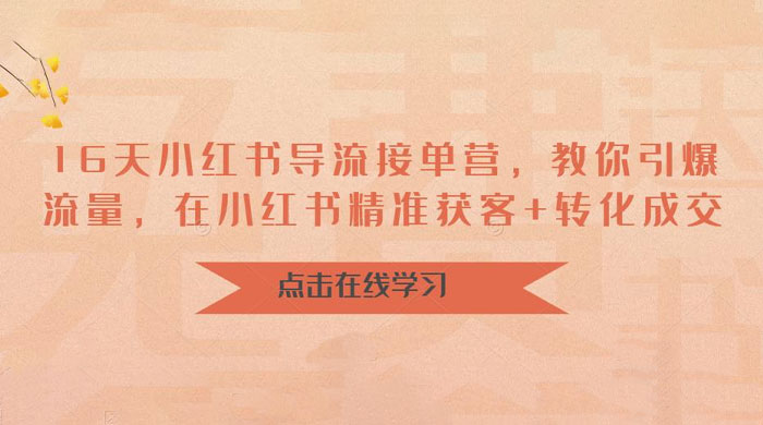 16 天小红书导流接单营：教你引爆流量，在小红书精准获客+转化成交-项目资源网